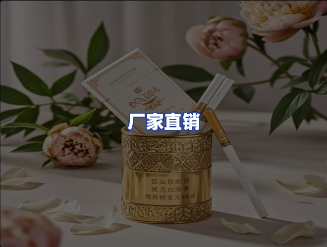 专业团队